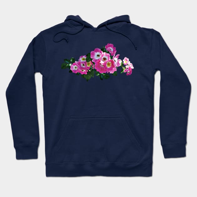 Pink Rambler Rose Hoodie by SusanSavad